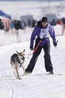 Lenk 2013